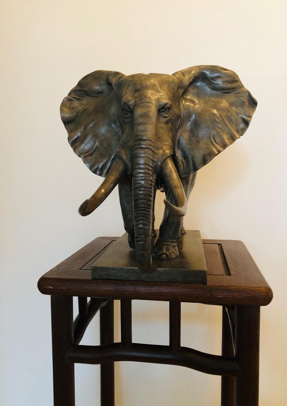 Elephant - bronze crafts bronze ornament handmade home and office decoration